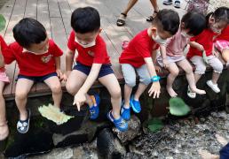 7월 유치원(어린이집)친구들의 유아숲체험 이미지