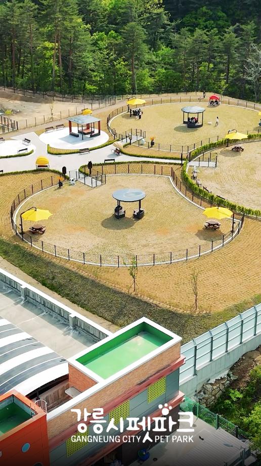 Temporary Opening of the Gangneung Pet Park