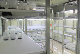 식물조직배양실