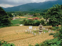 江陵 崛山寺址