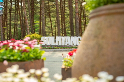 カンヌン(江陵)ソルヒャン樹木園