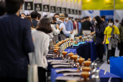 2023江陵コーヒー祭り